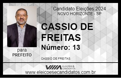 Candidato CASSIO DE FREITAS 2024 - NOVO HORIZONTE - Eleições