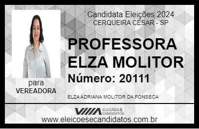 Candidato PROFESSORA ELZA MOLITOR 2024 - CERQUEIRA CÉSAR - Eleições