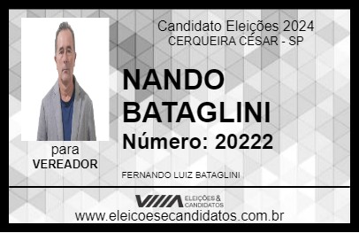 Candidato NANDO BATAGLINI 2024 - CERQUEIRA CÉSAR - Eleições