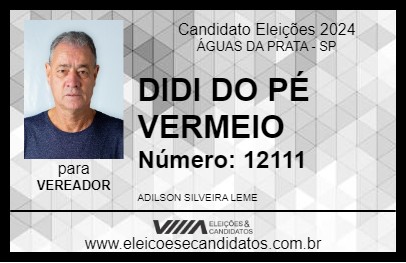 Candidato DIDI DO PÉ VERMEIO 2024 - ÁGUAS DA PRATA - Eleições