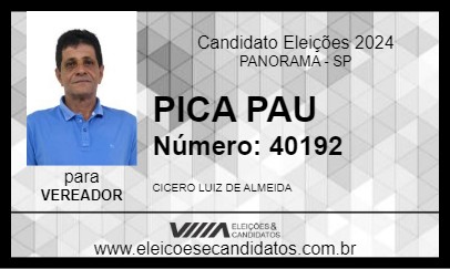 Candidato PICA PAU 2024 - PANORAMA - Eleições