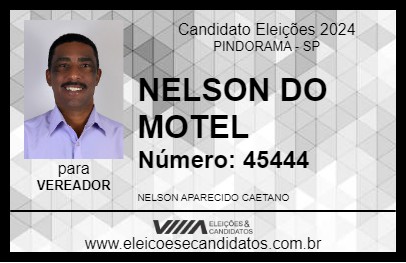 Candidato NELSON DO MOTEL 2024 - PINDORAMA - Eleições