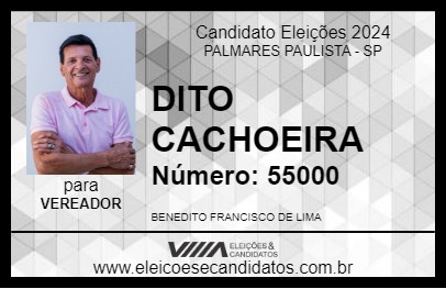 Candidato DITO CACHOEIRA 2024 - PALMARES PAULISTA - Eleições