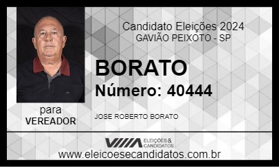 Candidato BORATO 2024 - GAVIÃO PEIXOTO - Eleições