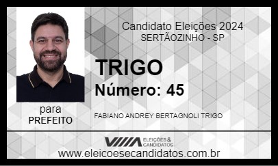 Candidato TRIGO 2024 - SERTÃOZINHO - Eleições