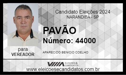 Candidato PAVÃO 2024 - NARANDIBA - Eleições