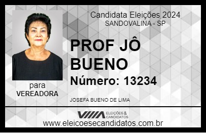 Candidato PROF JÔ BUENO 2024 - SANDOVALINA - Eleições