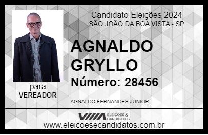 Candidato AGNALDO GRYLLO 2024 - SÃO JOÃO DA BOA VISTA - Eleições