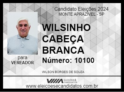 Candidato WILSINHO CABEÇA BRANCA 2024 - MONTE APRAZÍVEL - Eleições