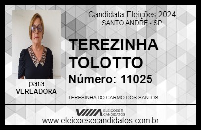 Candidato TEREZINHA TOLOTTO 2024 - SANTO ANDRÉ - Eleições