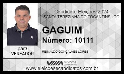 Candidato GAGUIM 2024 - SANTA TEREZINHA DO TOCANTINS - Eleições