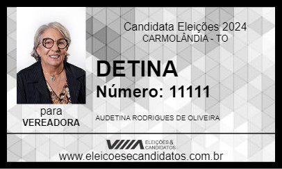 Candidato DETINA 2024 - CARMOLÂNDIA - Eleições