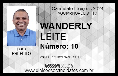 Candidato WANDERLY LEITE 2024 - AGUIARNÓPOLIS - Eleições