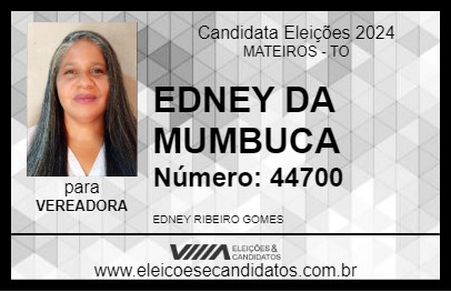 Candidato EDNEY DA MUMBUCA 2024 - MATEIROS - Eleições