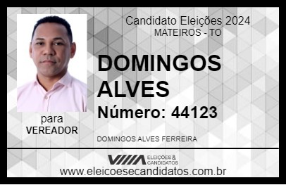 Candidato DOMINGOS ALVES 2024 - MATEIROS - Eleições