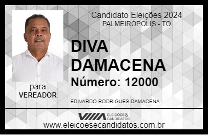 Candidato DIVA DAMACENA 2024 - PALMEIRÓPOLIS - Eleições