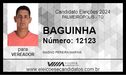 Candidato BAGUINHA 2024 - PALMEIRÓPOLIS - Eleições