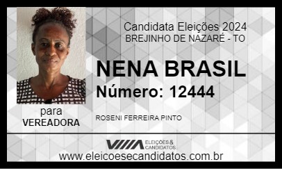 Candidato NENA BRASIL 2024 - BREJINHO DE NAZARÉ - Eleições