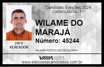 Candidato WILAME DO MARAJÁ 2024 - CARMOLÂNDIA - Eleições