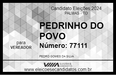 Candidato PEDRINHO DO POVO 2024 - PALMAS - Eleições