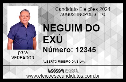 Candidato NEGUIM DO EXÚ 2024 - AUGUSTINÓPOLIS - Eleições