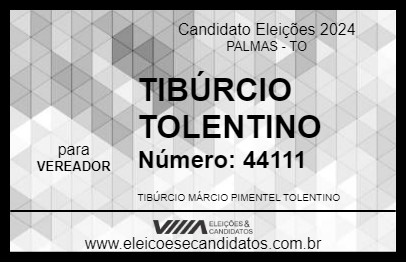 Candidato TIBÚRCIO TOLENTINO 2024 - PALMAS - Eleições