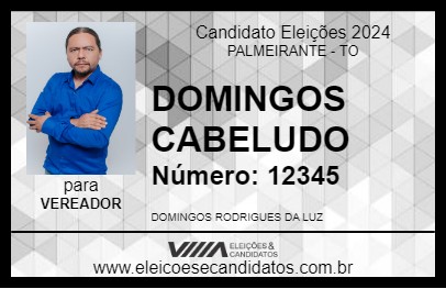 Candidato DOMINGOS CABELUDO 2024 - PALMEIRANTE - Eleições