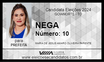 Candidato NEGA 2024 - GOIANORTE - Eleições