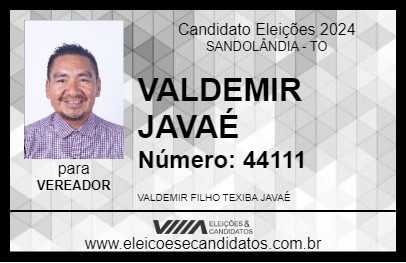 Candidato VALDEMIR JAVAÉ 2024 - SANDOLÂNDIA - Eleições