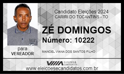 Candidato ZÉ DOMINGOS 2024 - CARIRI DO TOCANTINS - Eleições