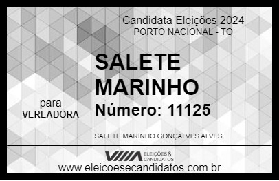 Candidato SALETE MARINHO 2024 - PORTO NACIONAL - Eleições