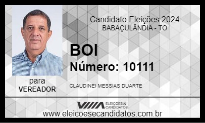 Candidato BOI 2024 - BABAÇULÂNDIA - Eleições