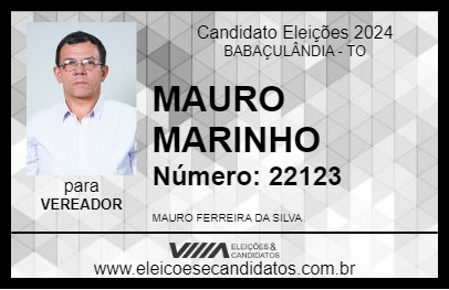 Candidato MAURO MARINHO 2024 - BABAÇULÂNDIA - Eleições