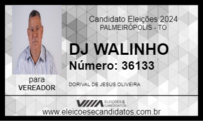 Candidato DJ WALINHO 2024 - PALMEIRÓPOLIS - Eleições