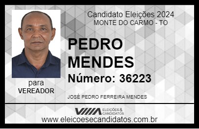 Candidato PEDRO MENDES 2024 - MONTE DO CARMO - Eleições