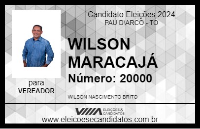 Candidato WILSON MARACAJÁ 2024 - PAU D\ARCO - Eleições