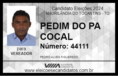 Candidato PEDIM DO PA COCAL 2024 - MAURILÂNDIA DO TOCANTINS - Eleições