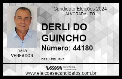 Candidato DERLI DO GUINCHO 2024 - ALVORADA - Eleições