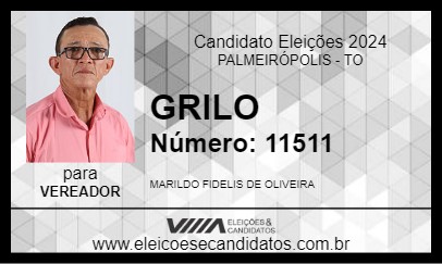 Candidato GRILO 2024 - PALMEIRÓPOLIS - Eleições