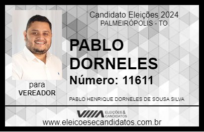 Candidato PABLO DORNELES 2024 - PALMEIRÓPOLIS - Eleições