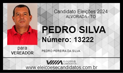 Candidato PEDRO SILVA 2024 - ALVORADA - Eleições