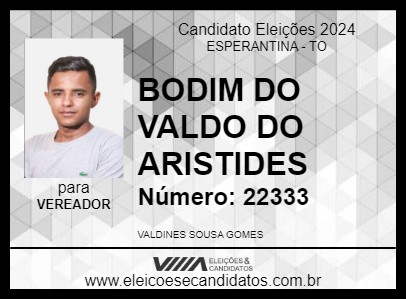 Candidato BODIM DO VALDO DO ARISTIDES 2024 - ESPERANTINA - Eleições