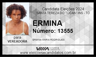 Candidato ERMINA 2024 - SANTA TEREZA DO TOCANTINS - Eleições